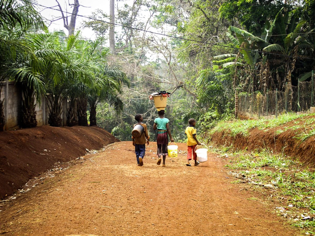 Dzieci wracają do swoich domów (Kamerun: ?, 2020)