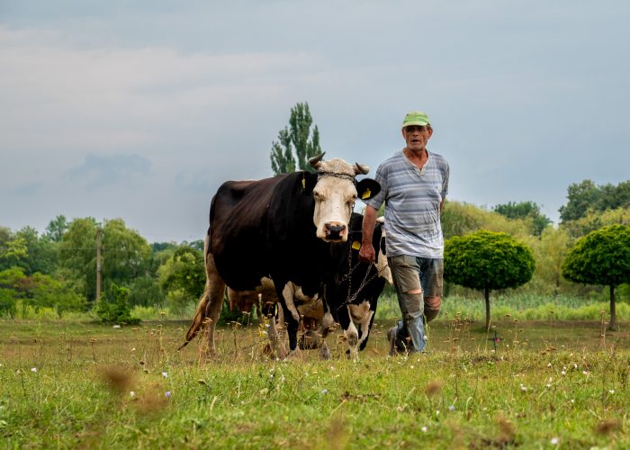 Fot. Maciek Mąka