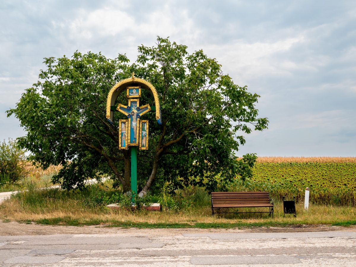 Fot. Maciek Mąka