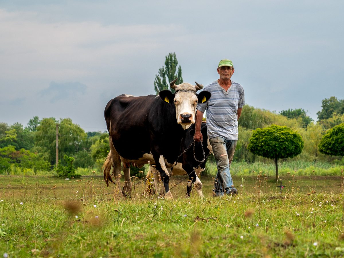 Fot. Maciek Mąka