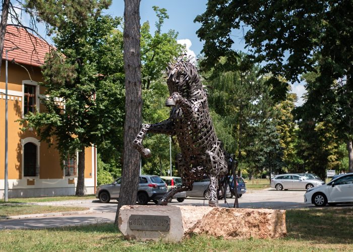 Fot. Matylda Mąka