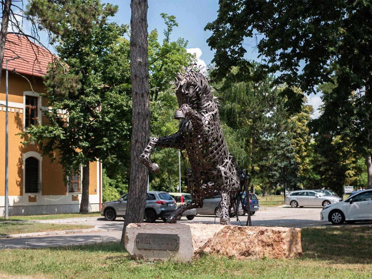 Fot. Matylda Mąka